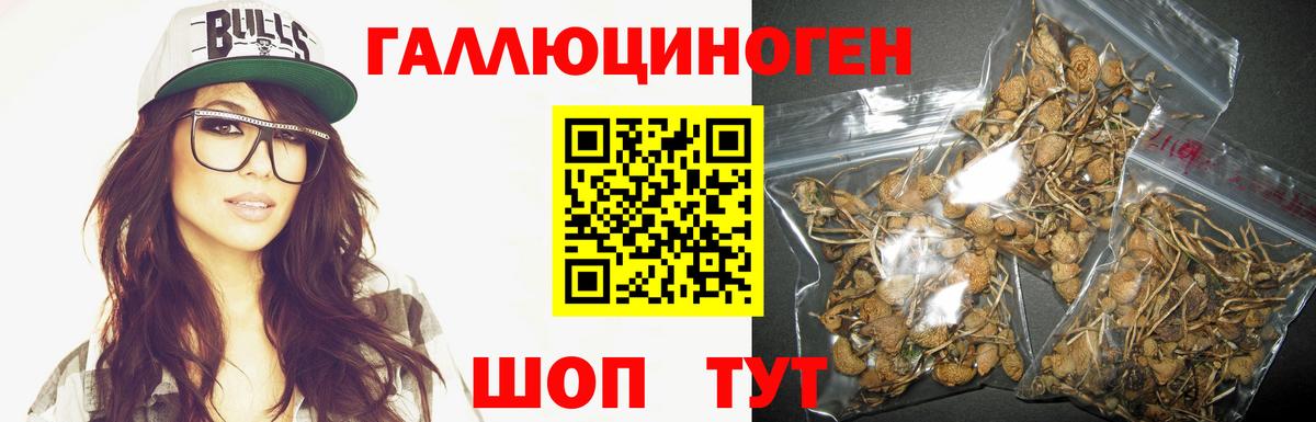 Псилоцибиновые грибы GOLDEN TEACHER Ялуторовск